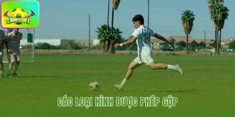 Kèo xiên bóng đá cho phép gộp cược Chấp 1x2 và Tài Xỉu