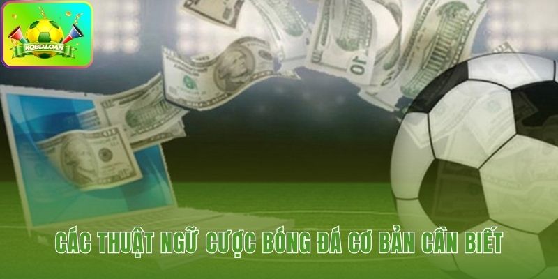 Hiểu thuật ngữ nền tảng để giải mã kèo cược