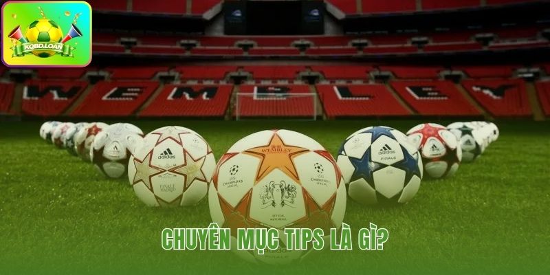 Tips kiến thức nền tảng thay vì dự đoán kết quả