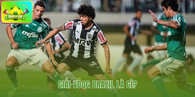 Giải đấu cấp cao nhất Brazil với 20 đội tranh tài