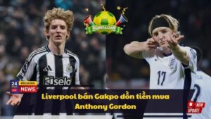 Liverpool bán Gakpo dồn tiền mua Anthony Gordon