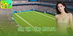 Sân vận động MetLife