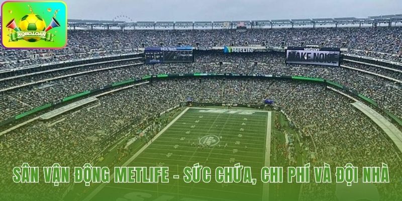 Quy mô chi phí và vai trò mái nhà chung độc đáo