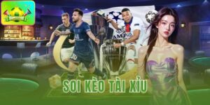soi kèo tài xỉu