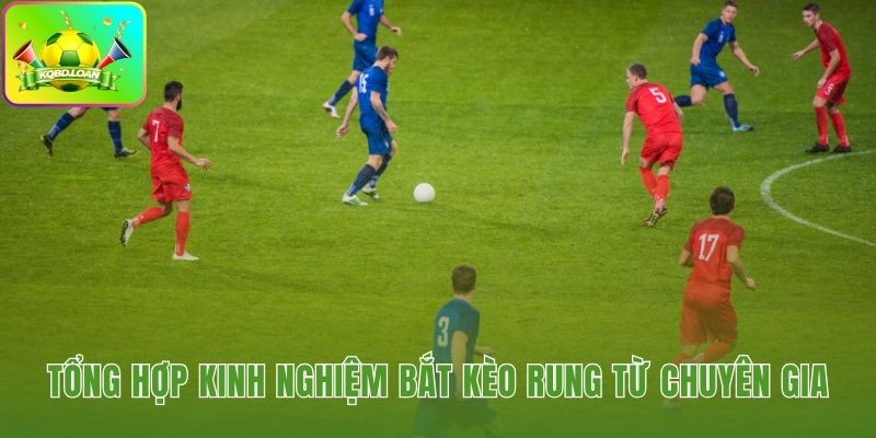 Kinh nghiệm chọn giải đấu và thời điểm vào lệnh kèo rung