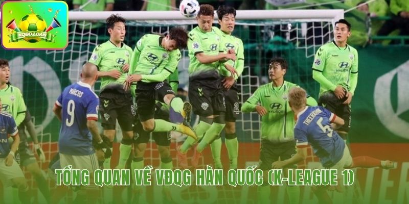 Tổng quan VĐQG Hàn Quốc sân chơi chuyên nghiệp hàng đầu